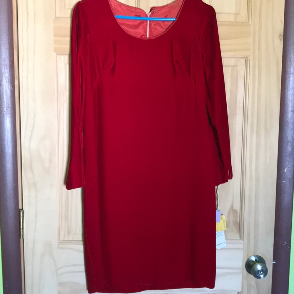 Vintage (between 1955-1963) red velvet dress